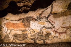 grotte de Lascaux / Lascaux cave