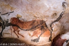 grotte de Lascaux / Lascaux cave