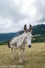 Vercors