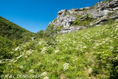 vallée du Lot / Lot valley