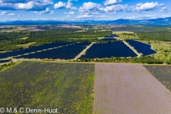 champ de lavandes et panneaux solaires / lavender field and solar panels