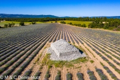 champ de lavandes et borie / lavender field and borie