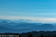 Dentelles de Montmirail