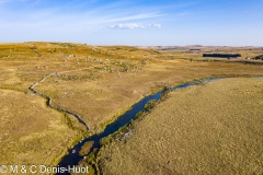 plateau de l'Aubrac / The Aubrac plateau