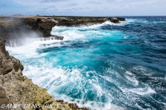 île de Bonaire / Bonaire island