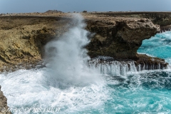 île de Bonaire / Bonaire island