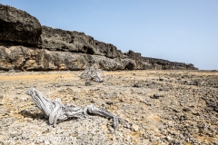 île de Bonaire / Bonaire island