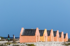 île de Bonaire / Bonaire island