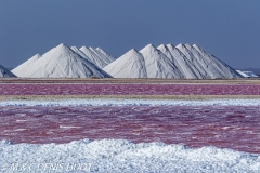 île de Bonaire / Bonaire island