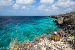 île de Bonaire / Bonaire island