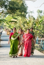 Sunderbans