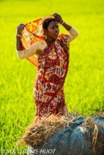 Sunderbans