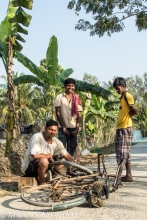 Sunderbans