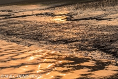 Sunderbans