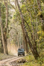 tourisme à Kaziranga / tourism in Kaziranga