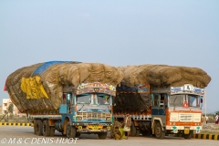 Maharashtra