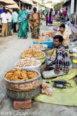 Sunderbans