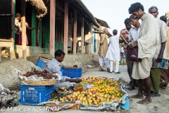 Sunderbans