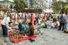 Sunderbans