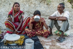 Sunderbans