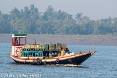 Sunderbans