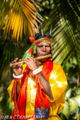 Sunderbans