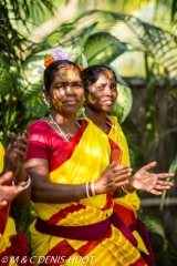 Sunderbans