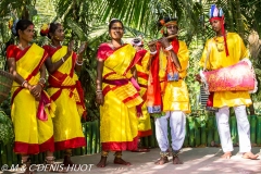 Sunderbans