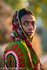 Sunderbans