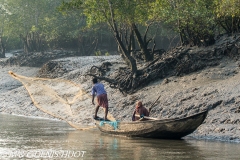 Sunderbans