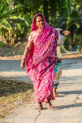Sunderbans