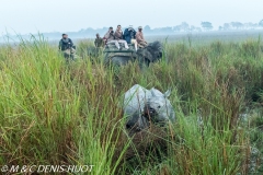 safari à dos d'éléphant / elephant safari