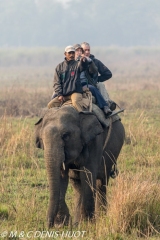 safari à dos d'éléphant / elephant safari
