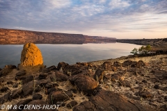 termitière / termite hill