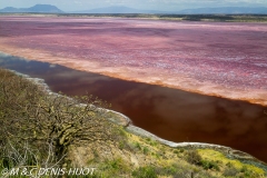 lac Magadi / lake Magadi