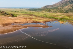 lac Magadi / lake Magadi