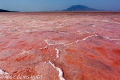 lac Natron / lake Natron