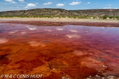 lac Magadi / lake Magadi
