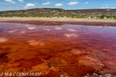 lac Magadi / lake Magadi