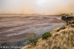 lake Magadi