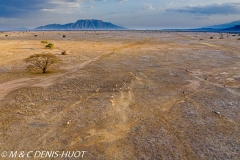 lac Magadi / lake Magadi