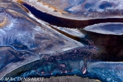 lac Magadi / lake Magadi