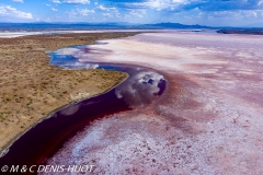 lac Magadi / lake Magadi