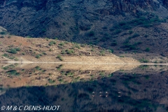 lac Magadi / lake Magadi