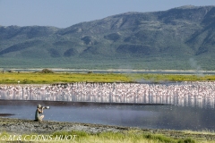 Christine Denis-Huot