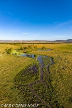 réserve de Masai-Mara / Masai-Mara game reserve