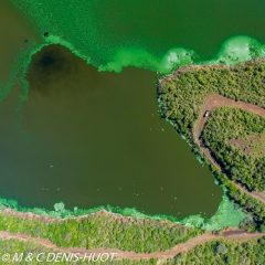 Lac Bogoria / lake Bogoria