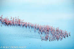 lac Magadi / lake Magadi