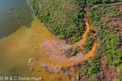 Lac Bogoria / lake Bogoria