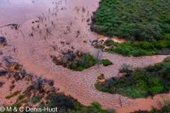 Lac Bogoria / lake Bogoria